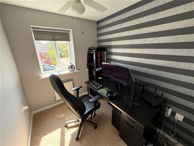 Picture 14